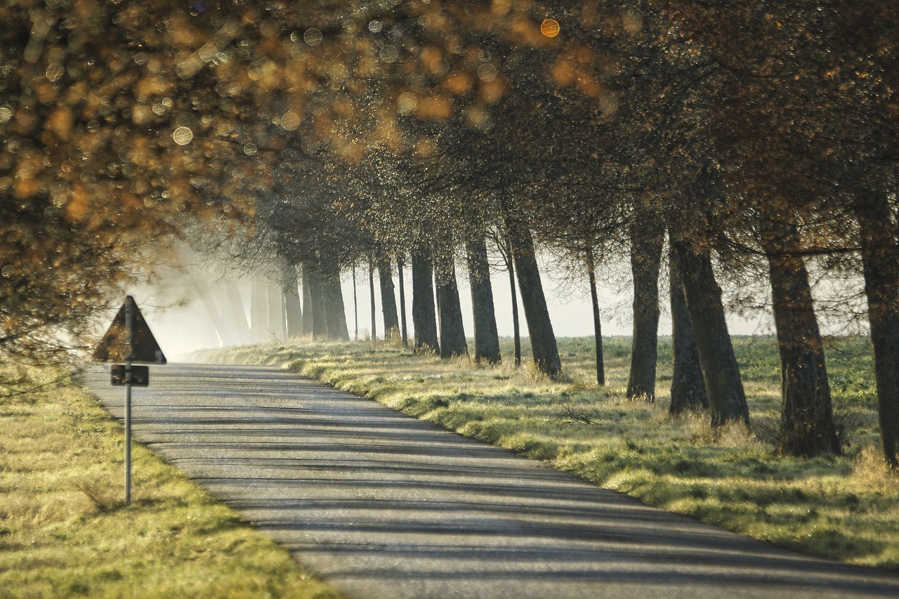 Sécurité sur les Routes de Campagne : Ce qu’il Faut Savoir