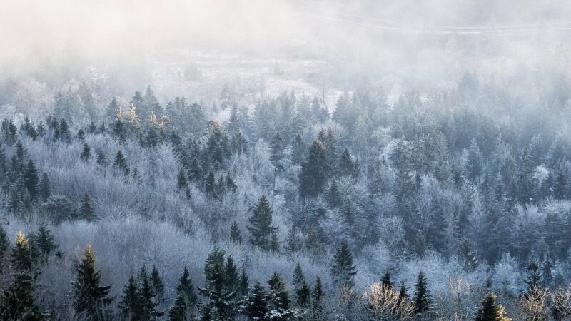 Gérer les Situations de Conduite Difficiles : Brouillard, Neige, etc.