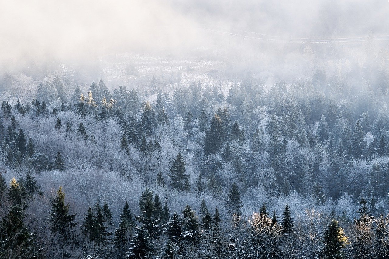 Gérer les Situations de Conduite Difficiles : Brouillard, Neige, etc.